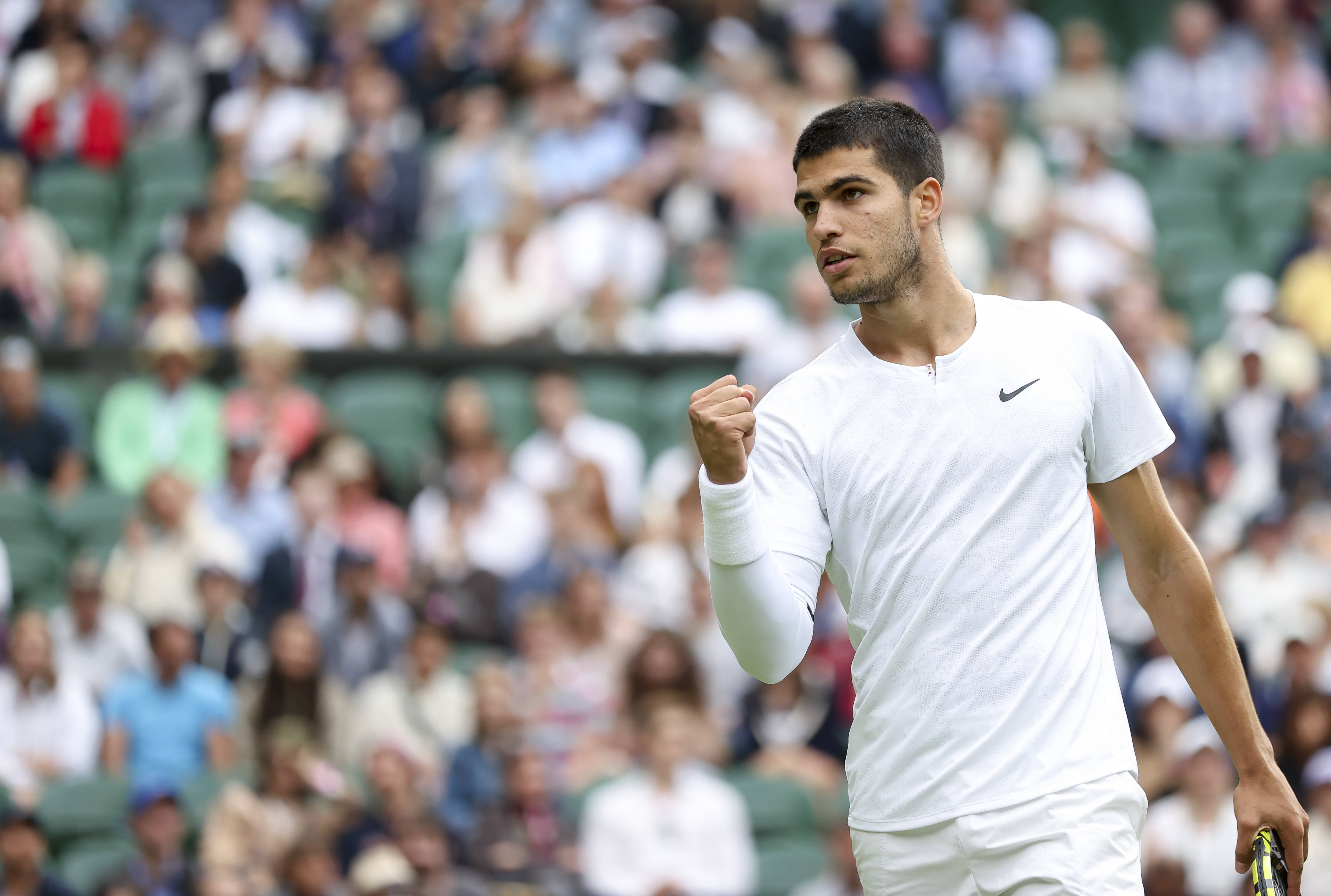 多样化的锋 多样化的锋