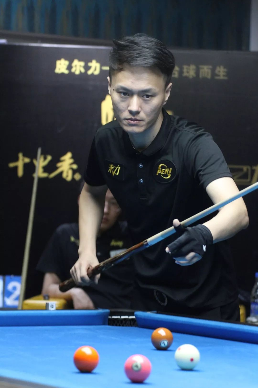 与北高加索 与北高加索